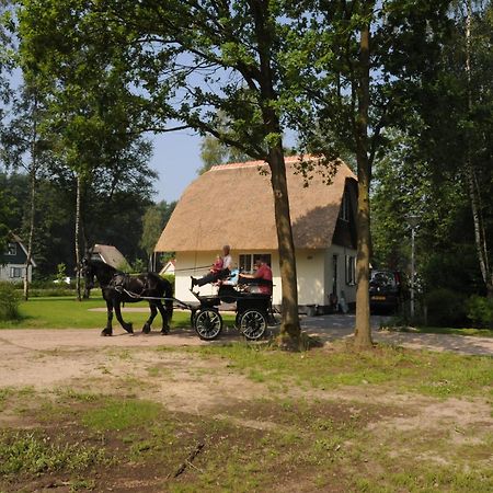 Beautiful Holiday Home In Heeten With Private Garden Kültér fotó