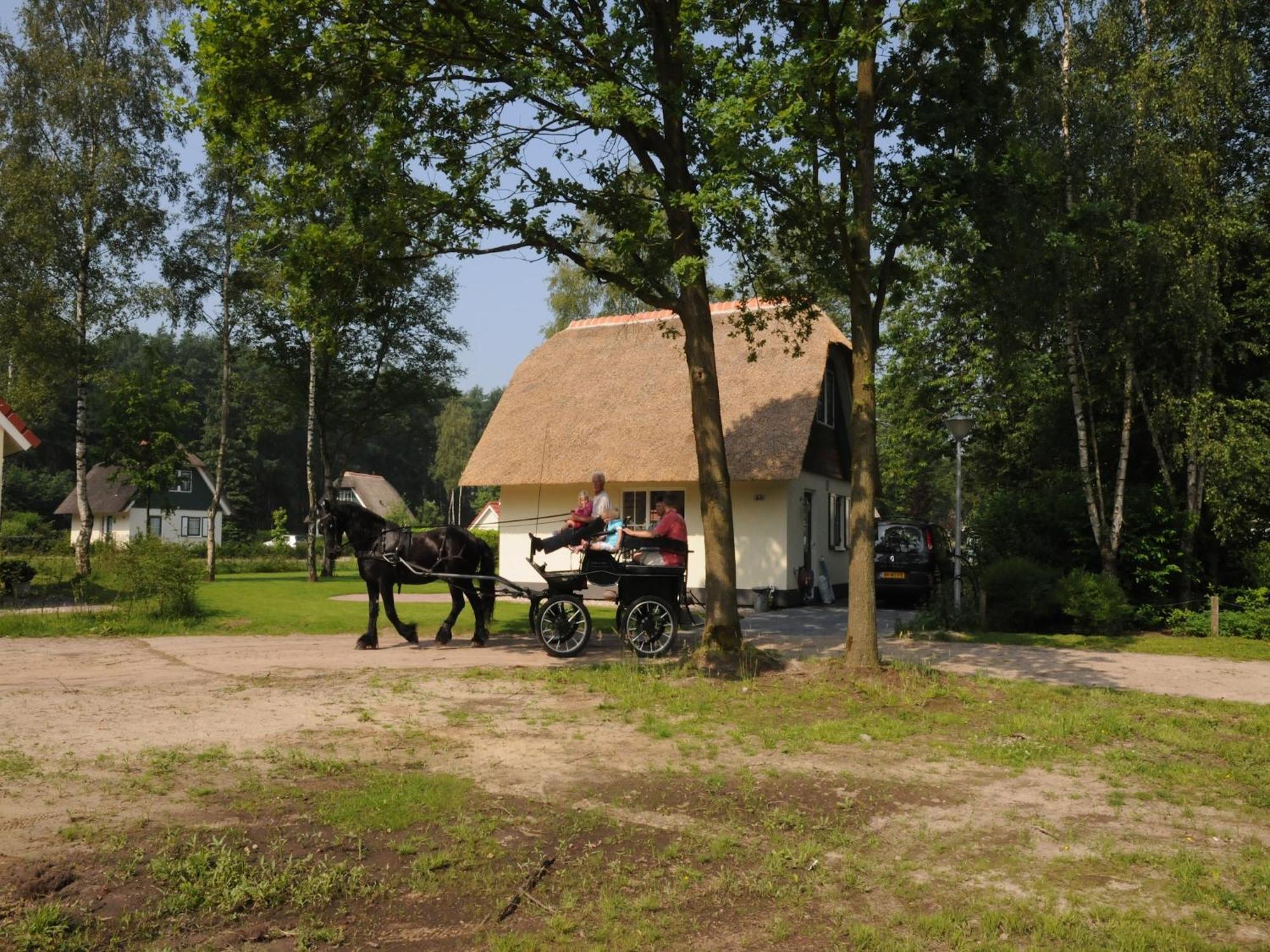 Beautiful Holiday Home In Heeten With Private Garden Kültér fotó